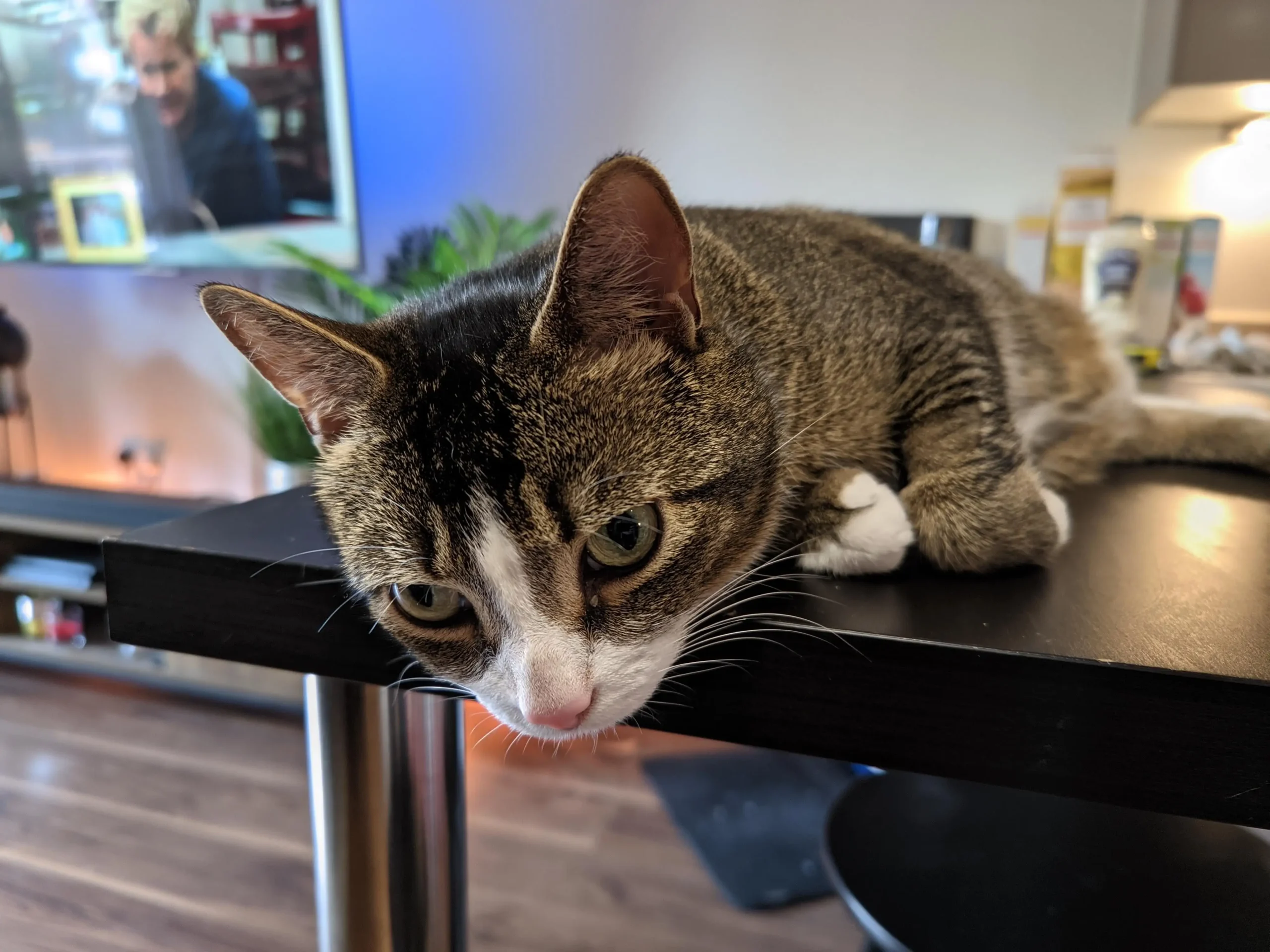 oneplus gcam camera